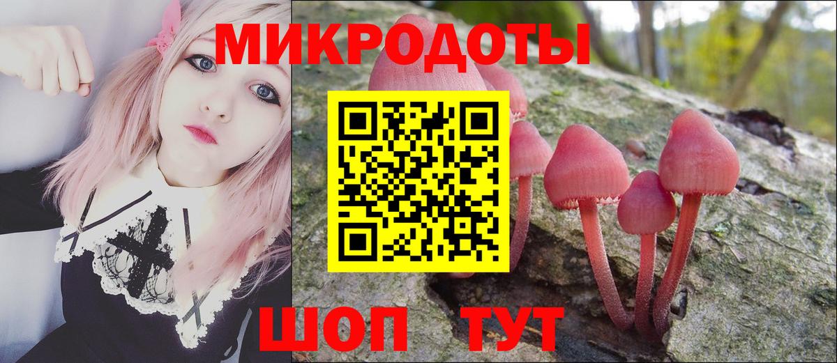 Псилоцибиновые грибы прущие грибы Курчалой