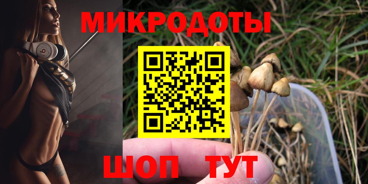 Курчалой  купить наркотик  Вход с VPN  Галлюциногенные грибы GOLDEN TEACHER 